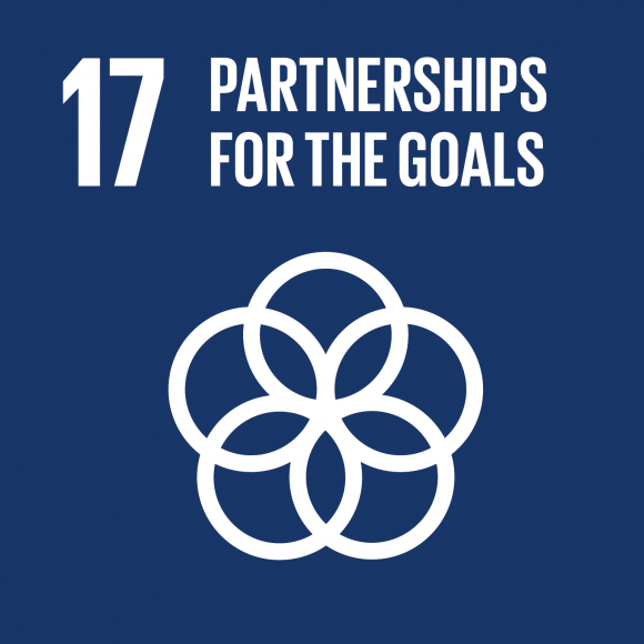 Sustainable Development Goal SDG 17 Partnership
